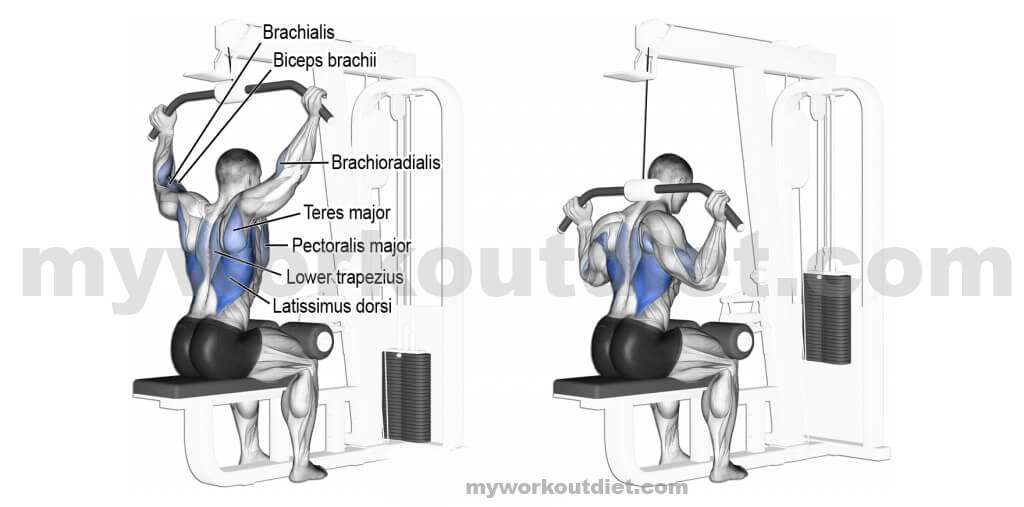Behind-the-neck-pulldown |  Workouts For Lats | myworkoutdiet