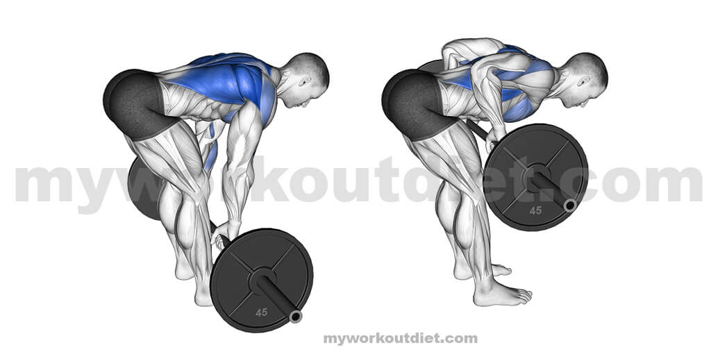 Bent-over-barbell-row |  Workouts For Lats | myworkoutdiet