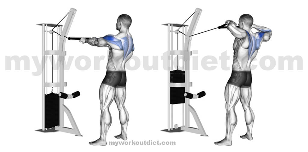 Cable-Face-Pull | Top 10 killer shoulder workout with dumbbell | for shoulder exercise | myworkoutdiet.com