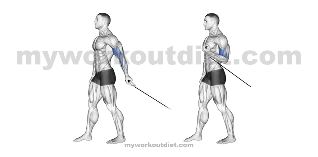 Cable-Facing-Away-Curl | Bicep exercises with dumbbells | myworkoutdiet.com