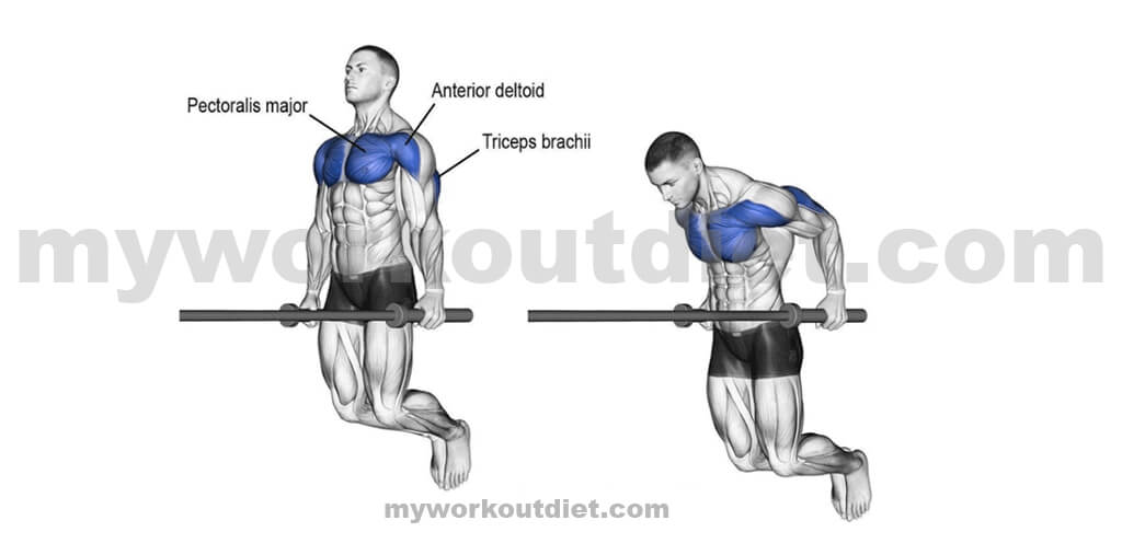 Chest-Dips | myworkoutdiet