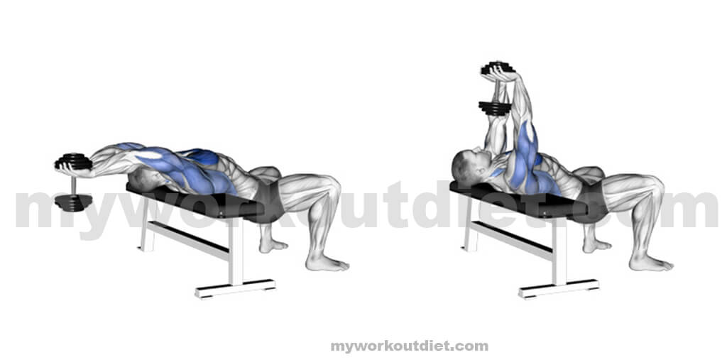 Dumbbell-pullover |  Workouts For Lats | myworkoutdiet