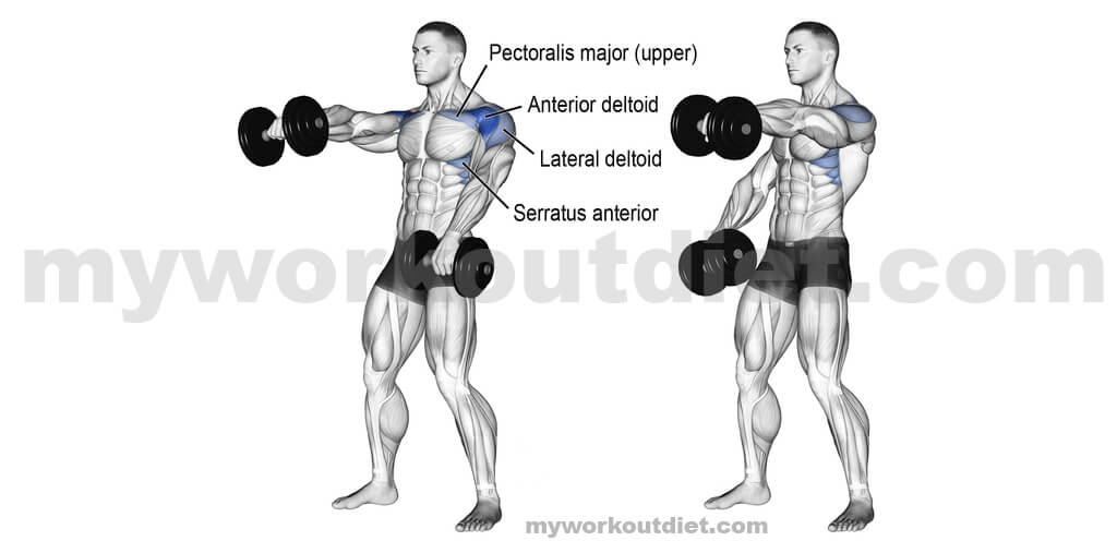 Dumbbell-Front-Raise | Top 10 killer shoulder workout with dumbbell | for shoulder exercise | myworkoutdiet.com
