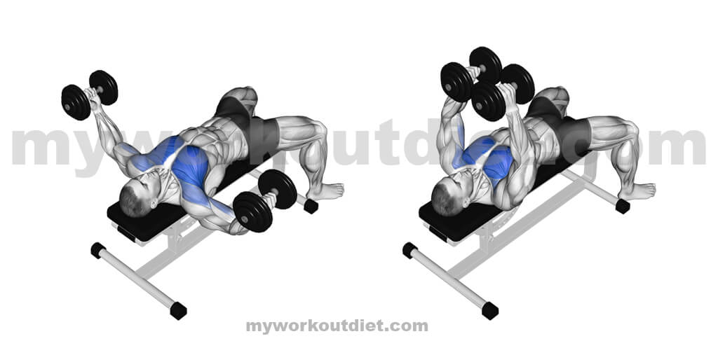 Dumbbell-Fly | myworkoutdiet