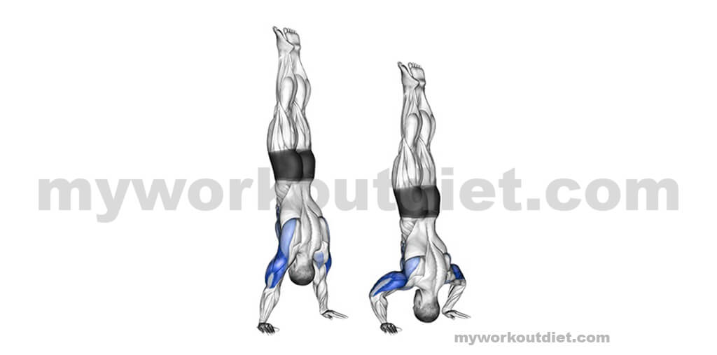 Handstand-Push-Ups | bodyweight tricep workouts