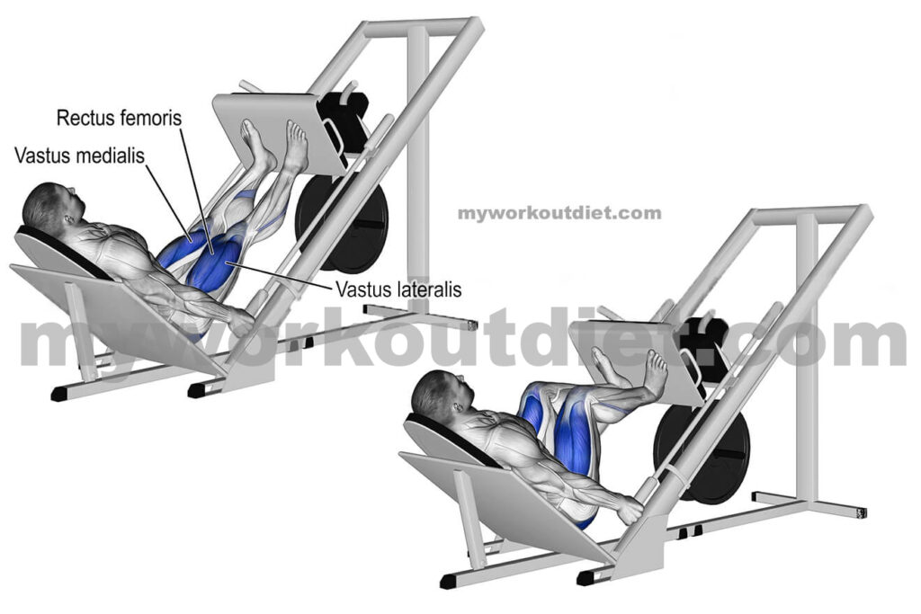 Incline Leg Press | Top 10 Killer legs workouts at the gym | workouts for legs exercise | myworkoutdiet.com