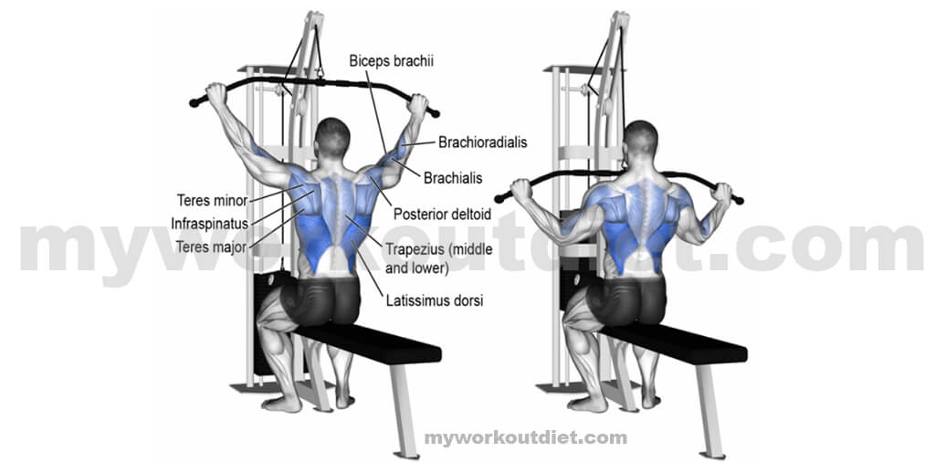 Lat-pulldown | Workouts For Lats | myworkoutdiet