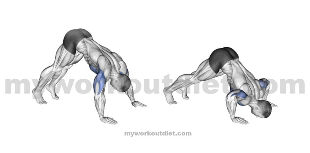 Pike-Push-Ups | bodyweight tricep workouts