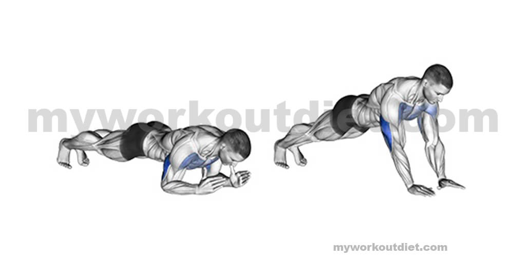 Plank-To-Pushups | bodyweight tricep workouts