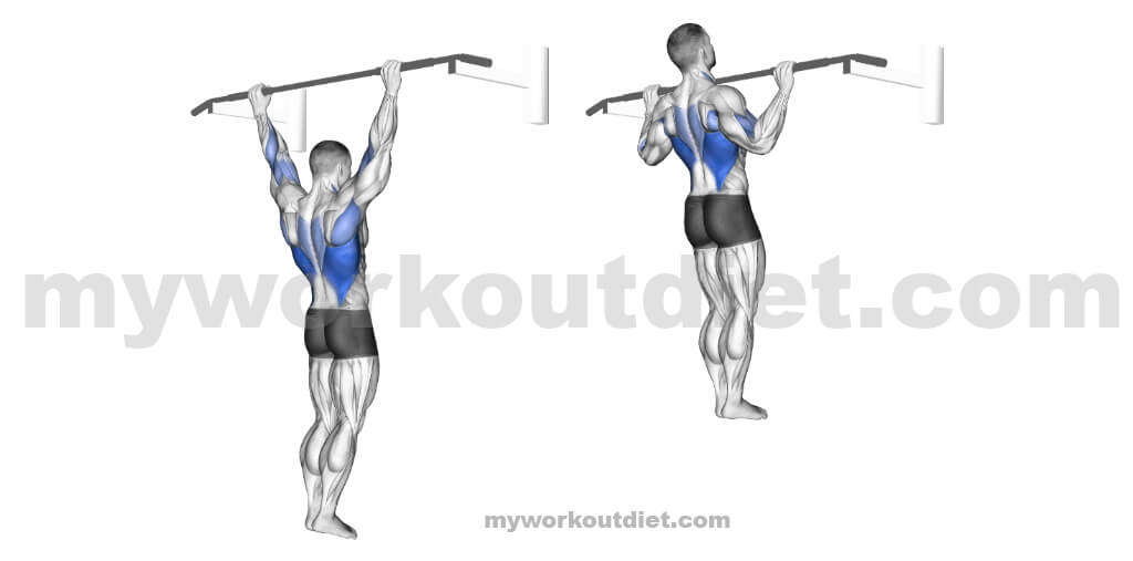 Pull-ups | Workouts For Lats | myworkoutdiet
