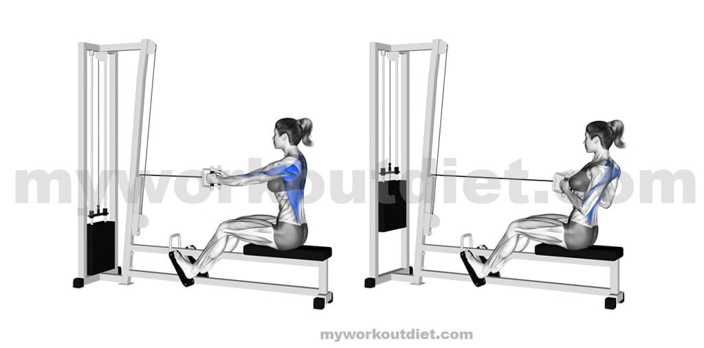 Seated-cable-row |  Workouts For Lats | myworkoutdiet