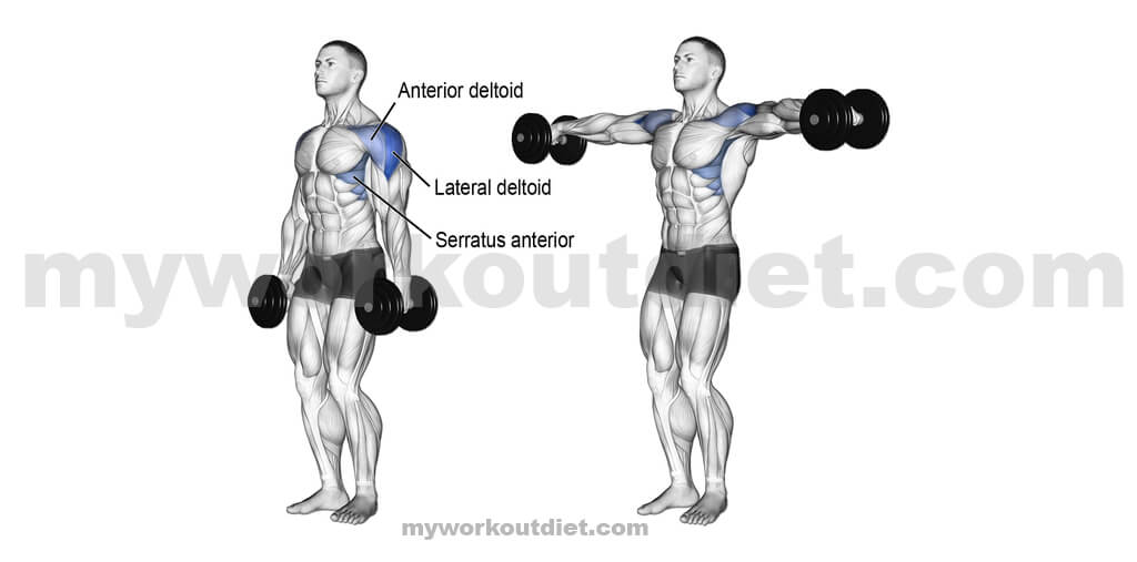 Side-Lateral-Raise | Top 10 killer shoulder workout with dumbbell | for shoulder exercise | myworkoutdiet.com
