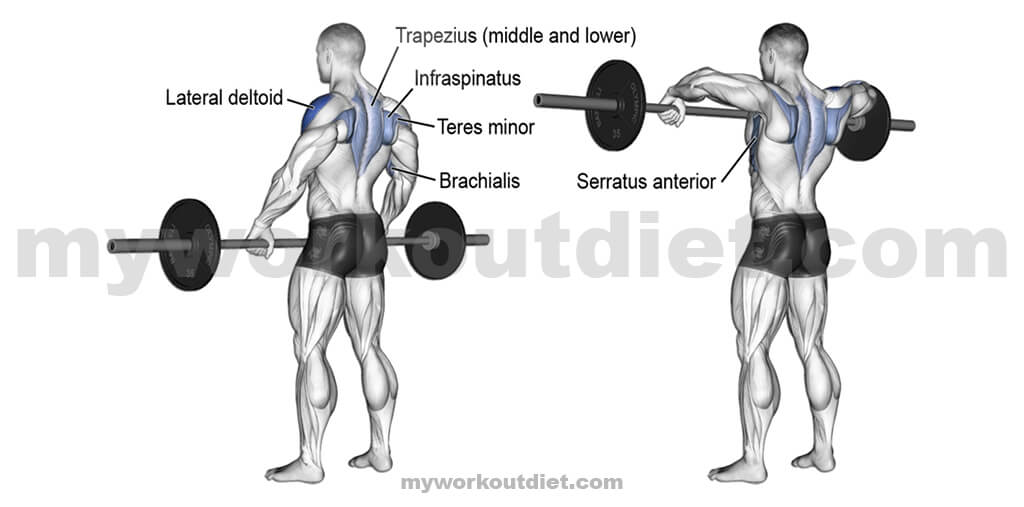 Upright-Barbell-Row | Top 10 killer shoulder workout with dumbbell | for shoulder exercise | myworkoutdiet.com