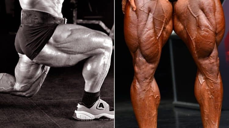 10 Best leg workouts at the gym | myworkoutdiet
