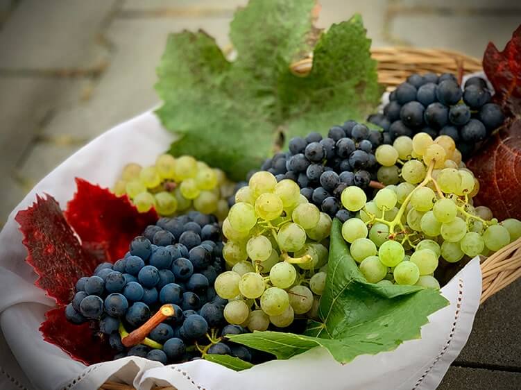 Grapes | 10 Food Boost Testosterone | What-Is-Low-Testosterone-Symptoms