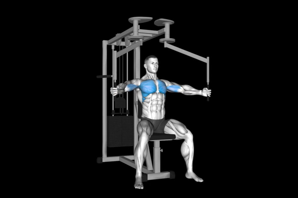 Lower Pec Deck Machines | Lower Chest Workouts