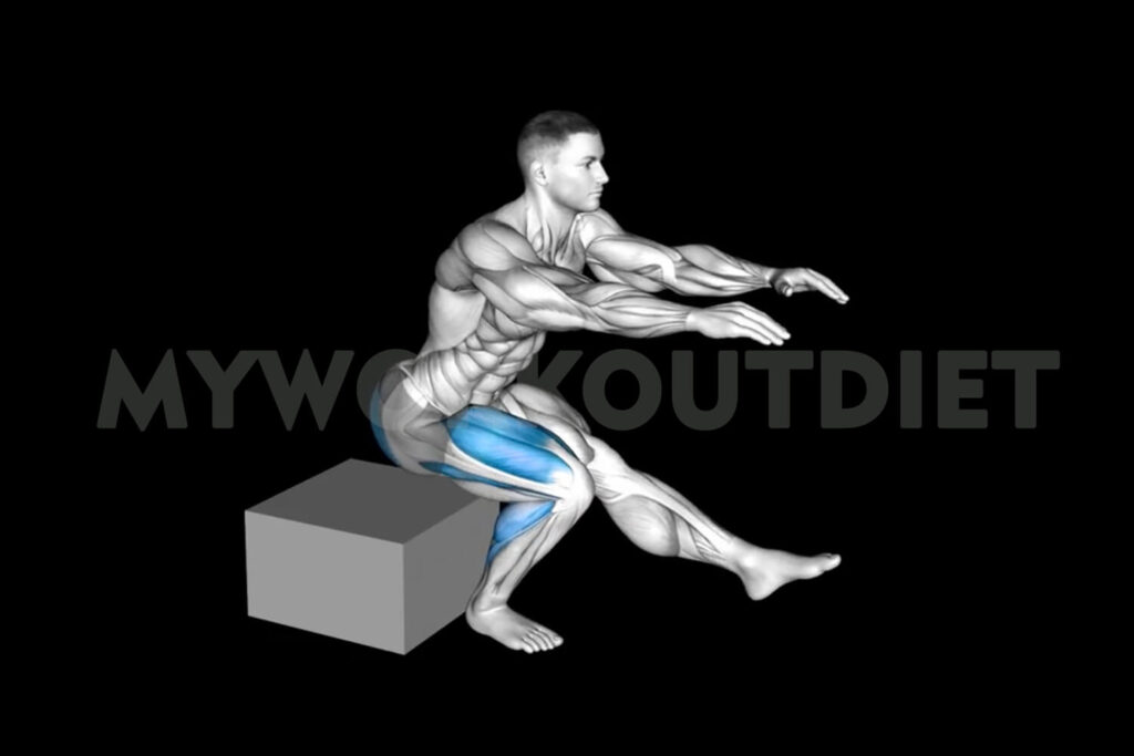 Single box squat | 8 Best Leg Extension Alternatives for Muscular Quads