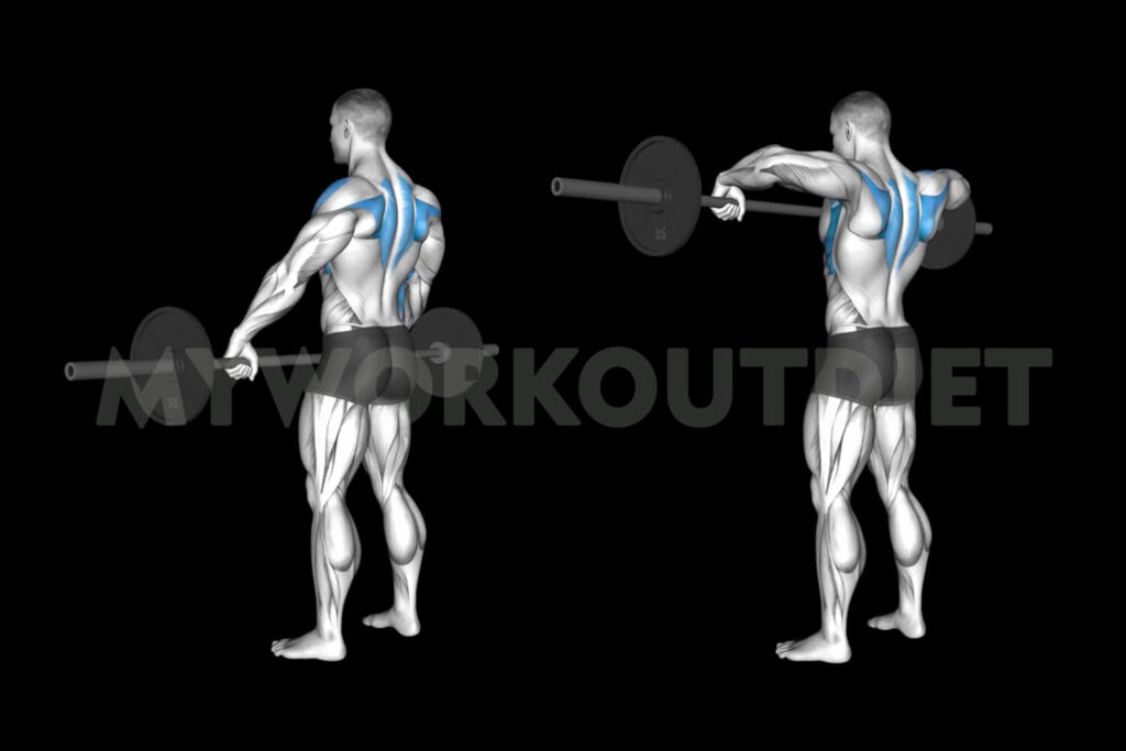 Barbell Wide Grip Upright Row | myworkoutdiet