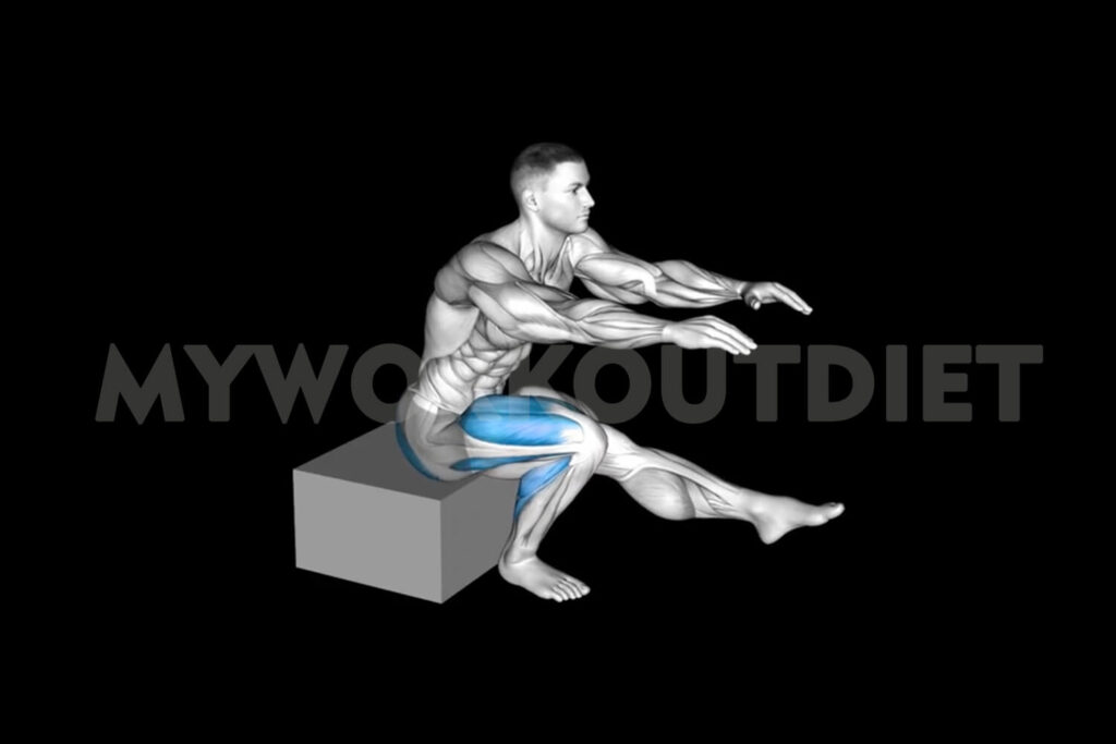 Single Leg Box Squat | Bulgarian split squat alternatives