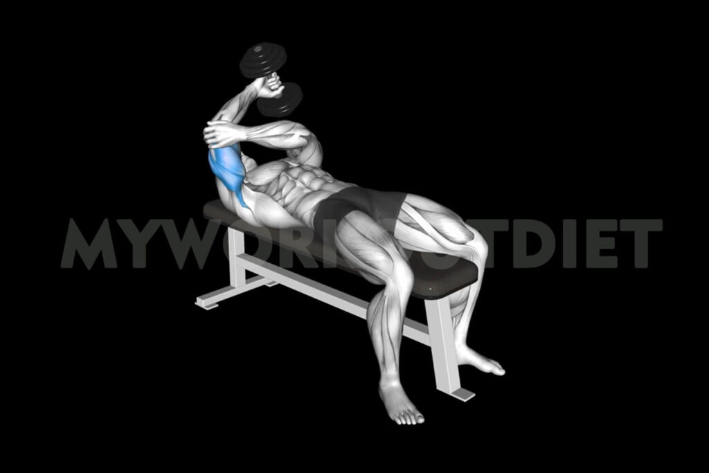Lying One Arm Pronated Triceps Extension | Dumbbell Triceps Extension