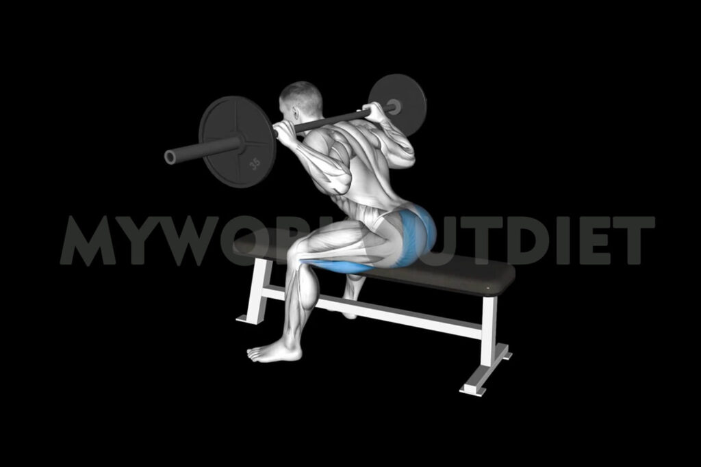 Barbell Seated Good Morning Hips | Back Extension Alternatives