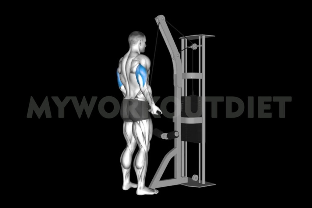 Cable Reverse Tricep Pushdown | Medial Head Tricep Exercises