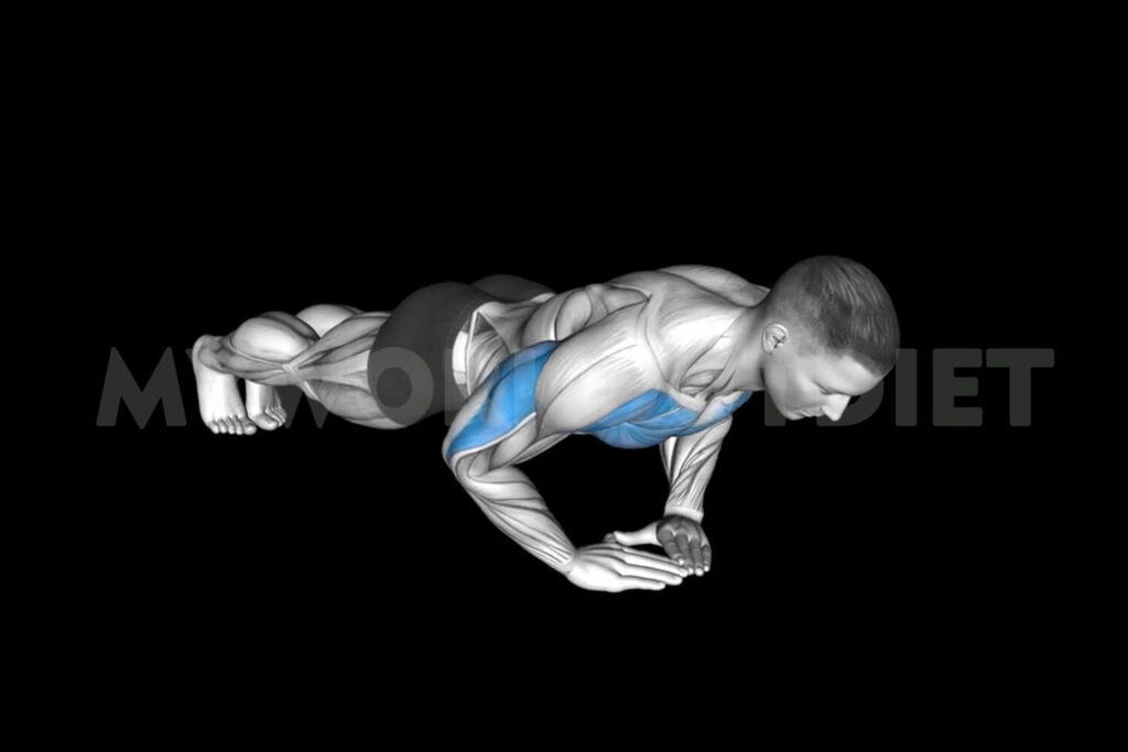 Diamond Tricep Pushups | Medial Head Tricep Exercises