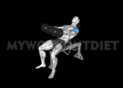 Incline Dumbbell Front Raise | My Workout Diet