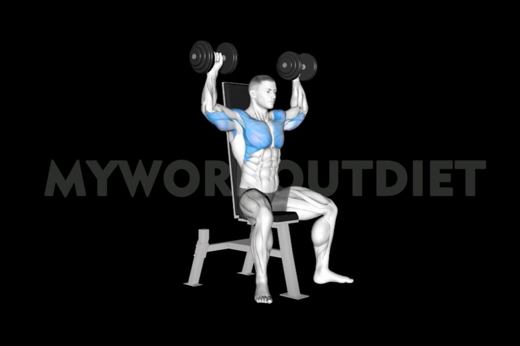 Seated Dumbbell Shoulder Press | My Workout Diet